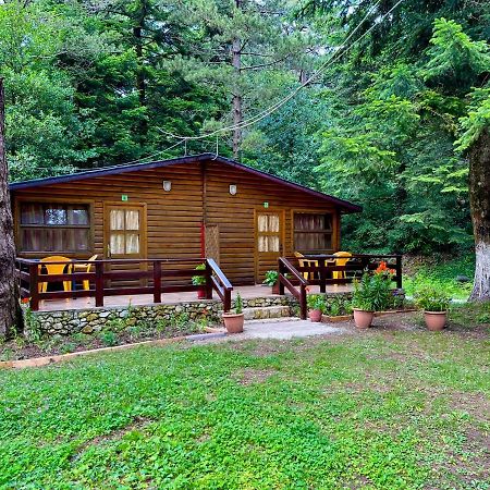 Villa Uji I Panjes Llogara à Vlorë Extérieur photo