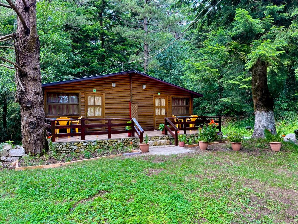Villa Uji I Panjes Llogara à Vlorë Extérieur photo